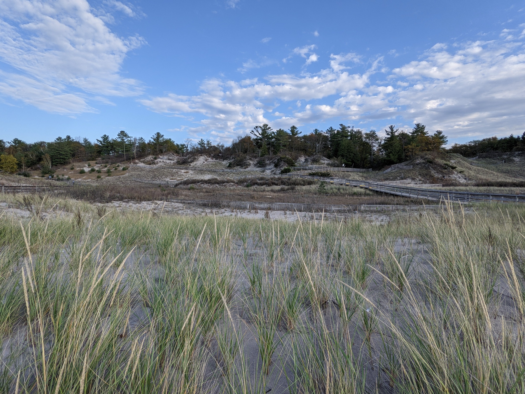 Beach dunes and surrounding natural landscape